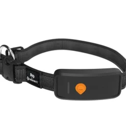 WEENECT TRACEUR GPS XT AVEC COLLIER> Colliers De Repérage Et Localisation·Colliers De Repérage - Gps|Colliers De Repérage Et Localisation·Colliers De Repérage - Gps