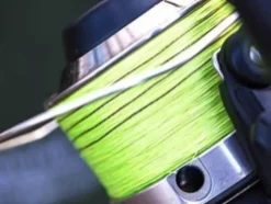 KORDA TRESSE A SPOD><noscript><img width=